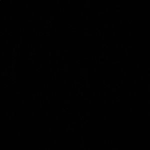 Meet your Posher, Daylynn